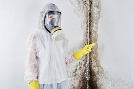 Why You Should Choose Our Mold Remediation Services in Bonnie Brae, IL